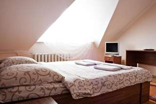 Мотели Motel Sofiivka Конопница Стандартный двухместный номер с 1 кроватью или 2 отдельными кроватями-10